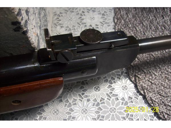 luchtbus diana  model 35